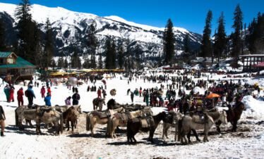 Shimla Manali Couple Special