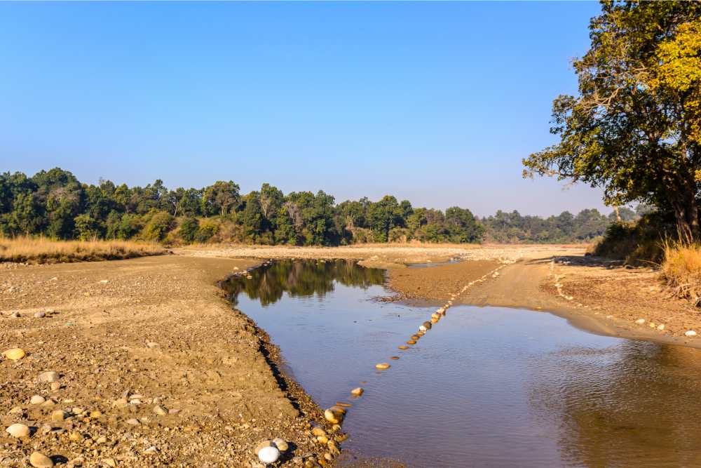 Rajaji National Park