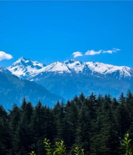 himachal tourism manali