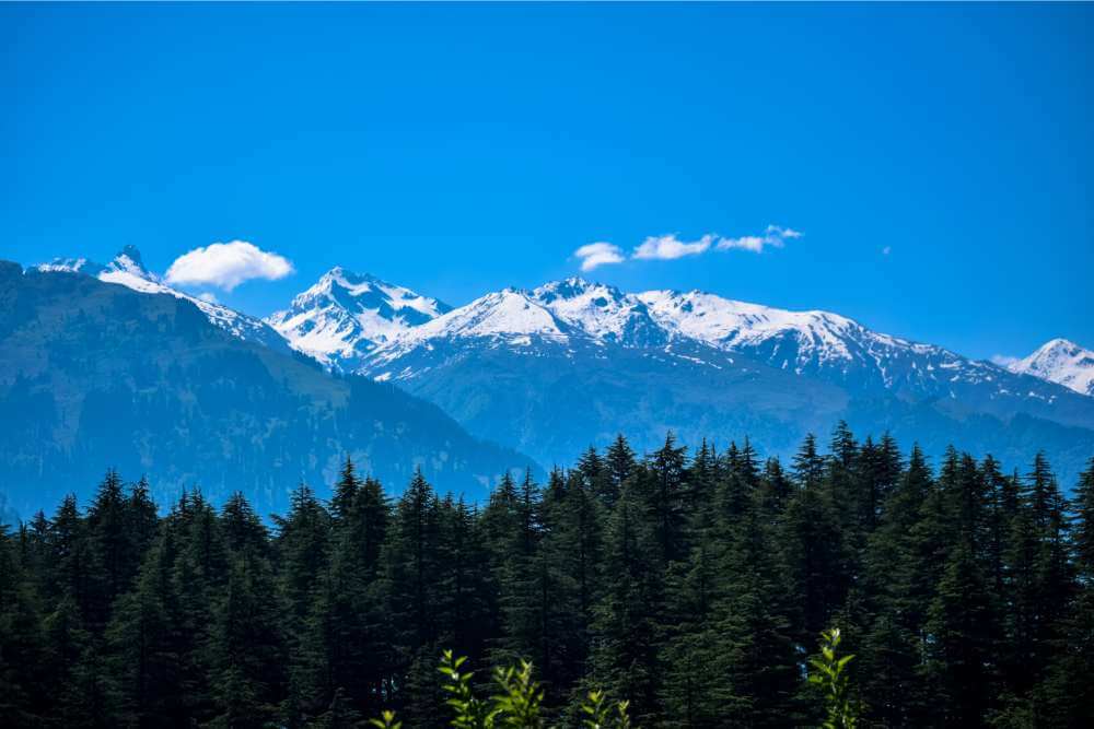 himachal tourism manali