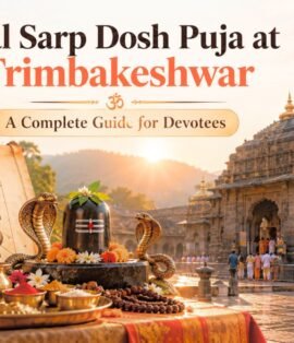 Kaal Sarp Dosh Puja at Trimbakeshwar